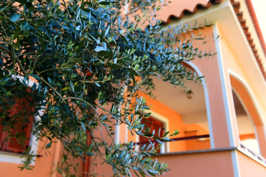 Apartments Zdjelar Poreč Dış mekan fotoğraf
